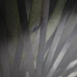 Lightweight Autobahn Tubular Rear Disc Wheel - Rim Brake 27 Lightweight Autobahn Tubular Rear Disc Wheel - Rim Brake -Pinarello Butik 8T1A9346